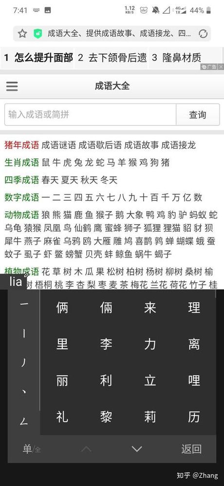 一个顶俩成语怎么接？