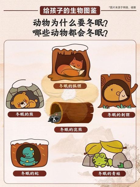 刺猬冬天是怎么过冬的