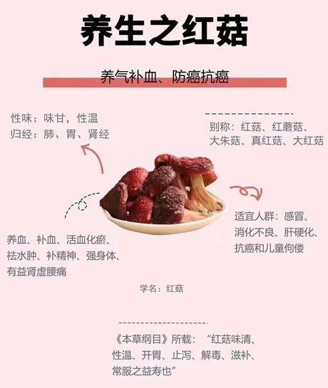 红菇的食用方法