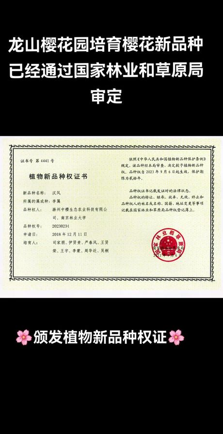 Linlin的多重身份:科学家与网络红人