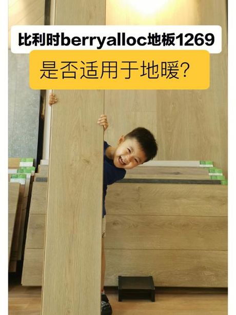 为什么欧洲禁止地暖？