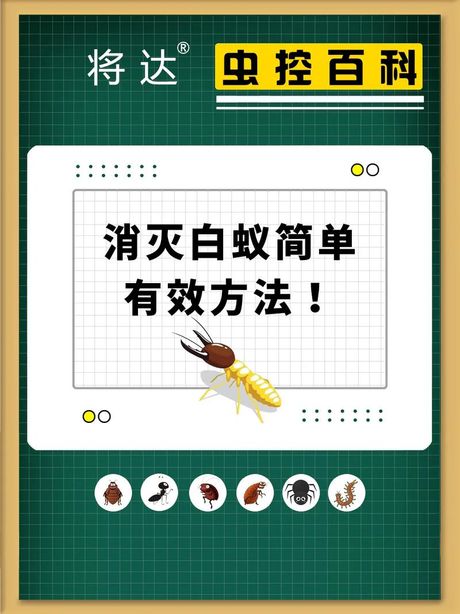 彻底消灭家中蚂蚁：实用指南