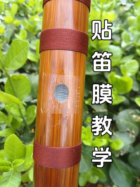 笛膜怎么贴