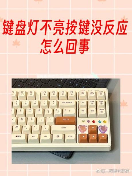 键盘指示灯不亮怎么办？