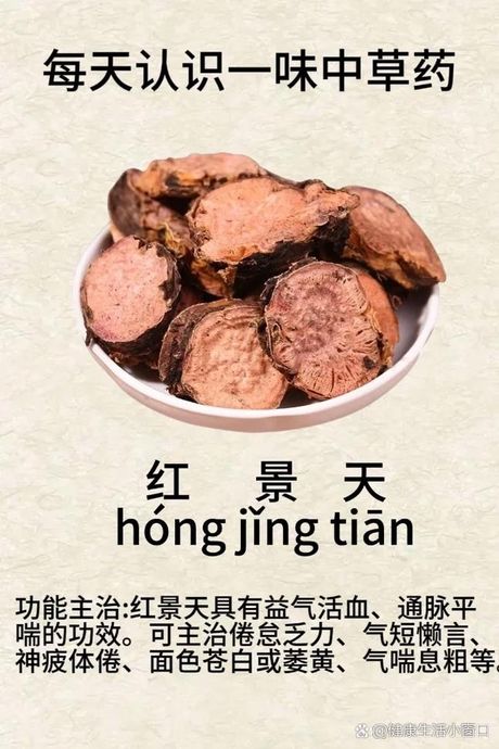 相宜本草红景天：深入探究其功效与特点