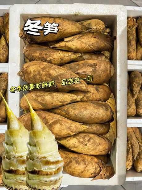 鲜笋的保存方法