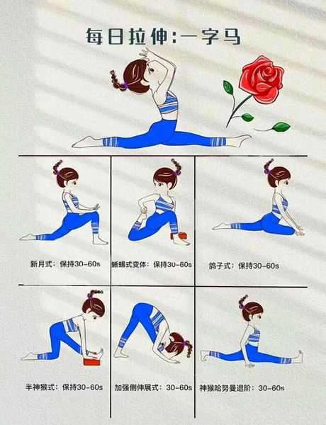 怎么练一字马