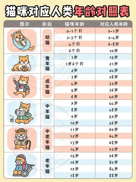 猫的平均寿命是多少年？