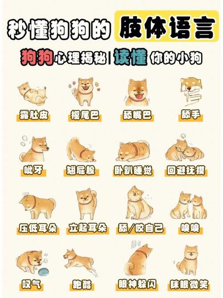 无病而呻：揭秘身体与心理的微妙联系
