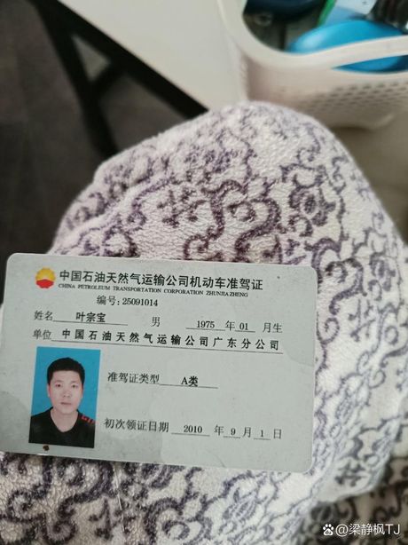 羊的简笔画,羊的简笔画指南