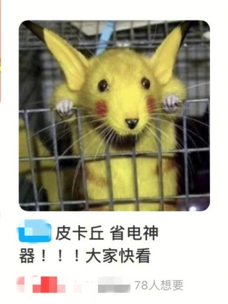 被别人叫皮卡丘啥意思？