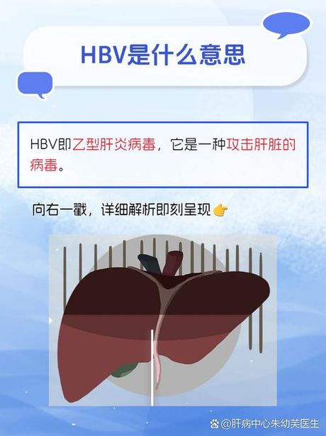 hbv是什么意思，HBV是什么意思