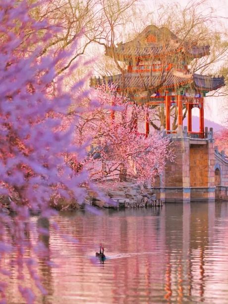 春和景明：诗意盎然的春日景象
