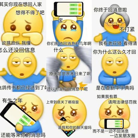 揭秘doge表情：从迷因到流行文化的演变