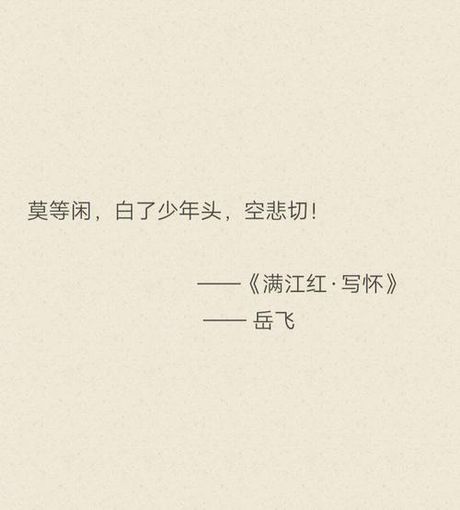 莫等闲白了少年头空悲切的意思