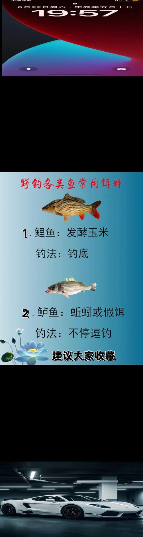 鱼饵调配的艺术：吸引鱼类的小秘密