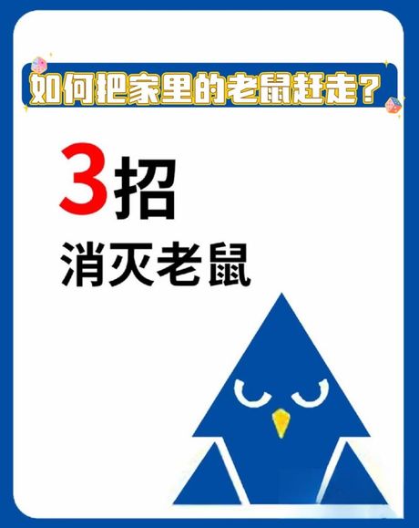 赶走老鼠最快的方法