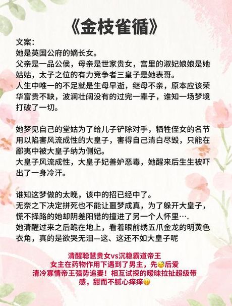甜文宠文，探索2024年甜宠文小说的魅力
