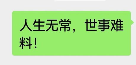 历历在目是什么意思