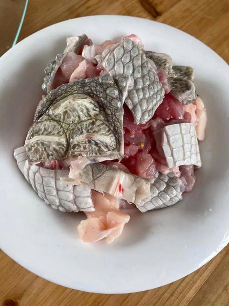 鳄鱼肉的美味烹饪方法
