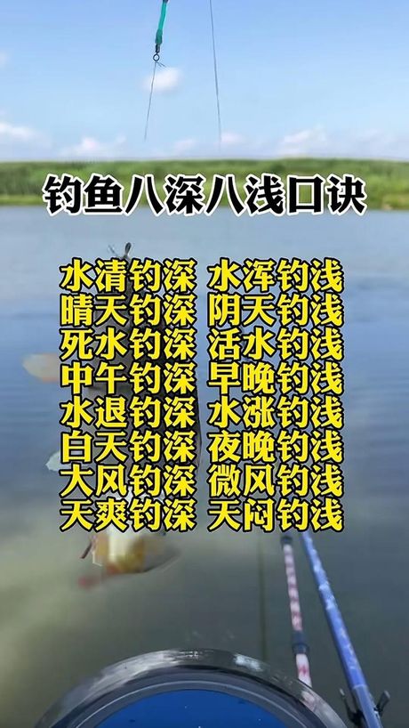 钓鱼的技巧和方法