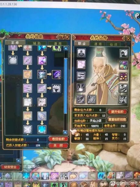 qq自由幻想刺客怎么加点，QQ自由幻想刺客加点攻略