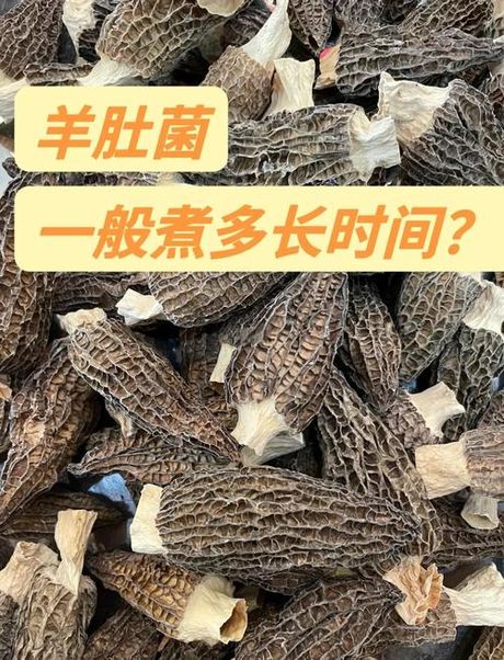 羊肚煮多久能熟