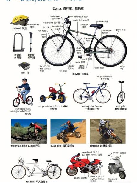 什么是“Bike”？