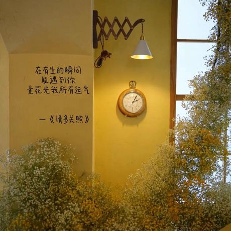 迁就：和谐相处的艺术