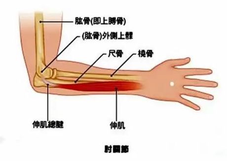 手臂关节疼痛是怎么回事？