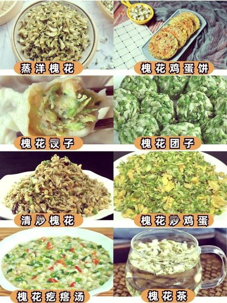 冷冻槐花美食全指南：解锁花香滋味的多种做法