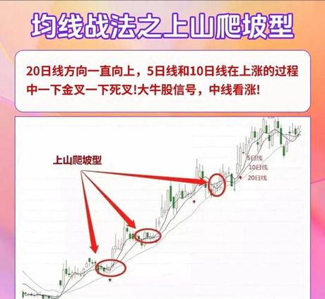 压力位和支撑位：股市中的关键概念