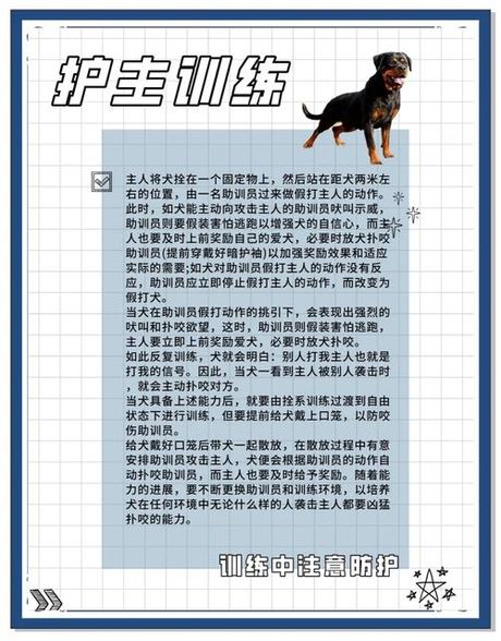 罗威纳犬怎么训练，罗威纳犬训练全攻略