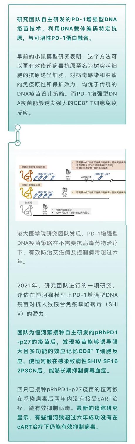 2024年重大科学突破：长效HIV预防针剂的成功试验
