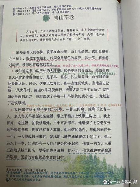 《青山不老》：一个关于坚韧与奉献的故事