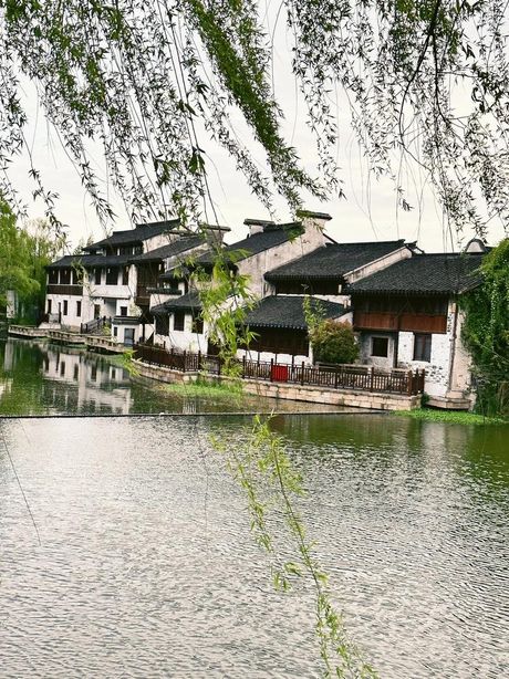 无锡一日游：探寻江南水乡的魅力