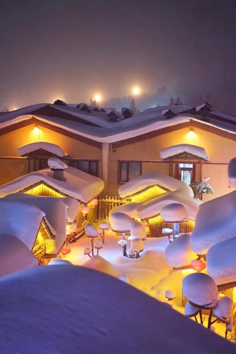 哈尔滨雪乡：冬季的童话世界