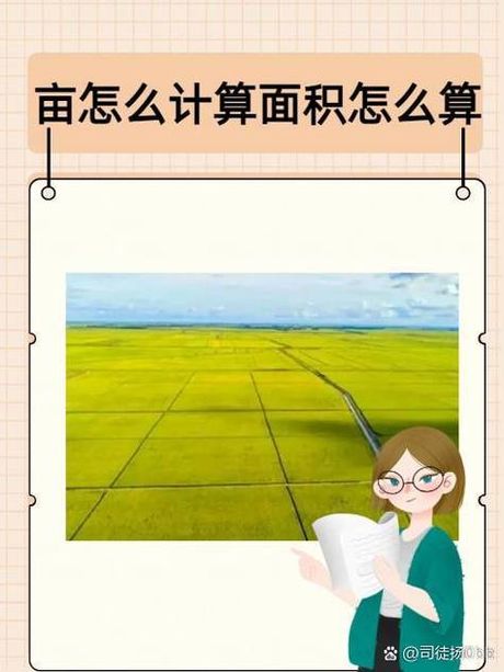 一亩地的长与宽：探索土地面积单位