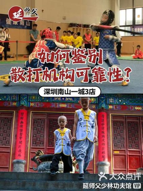 散打学费知多少：揭秘这项武术运动的成本