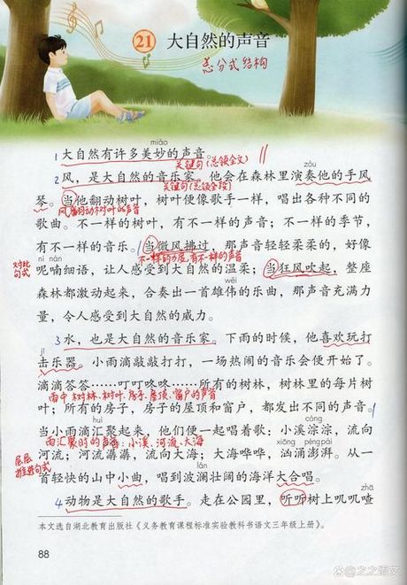 松涛：自然的声音诗篇