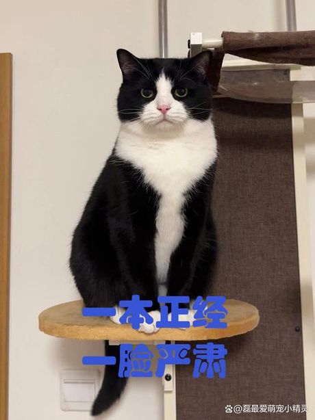 正经：不仅仅是严肃