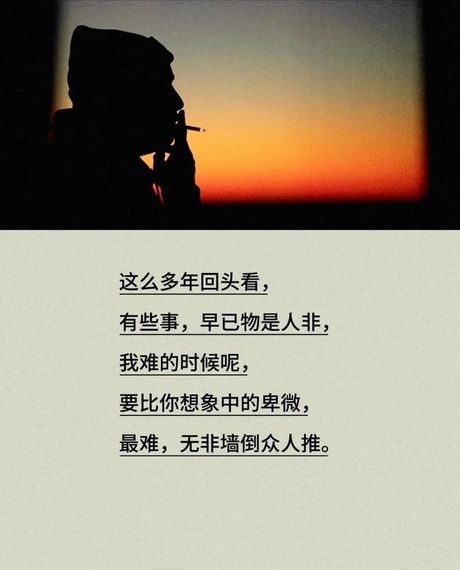 男人说“顺其自然”的含义解析