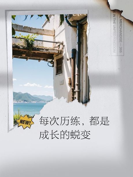 重在参与：理解其深层含义