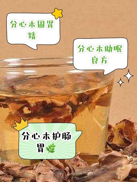 核桃分心木怎么泡水喝