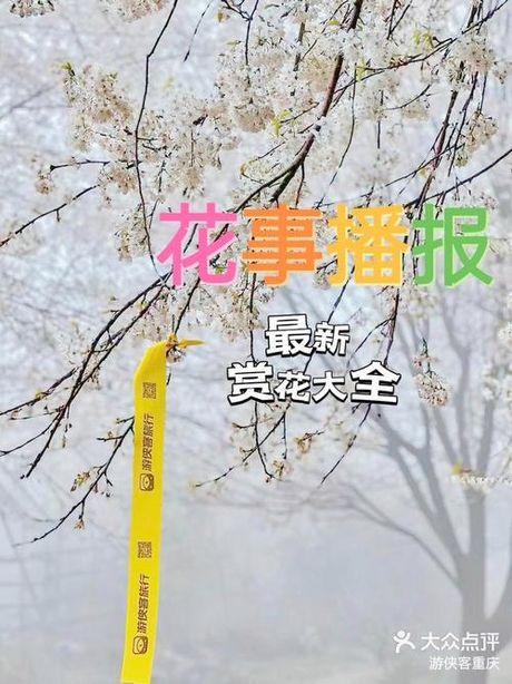 人间四月芳菲尽：春末花事的理解