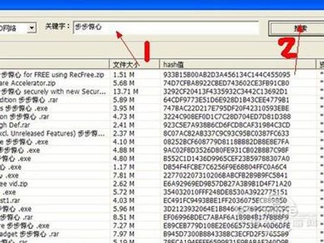 p2p种子搜索器怎么用，P2P种子搜索器使用指南