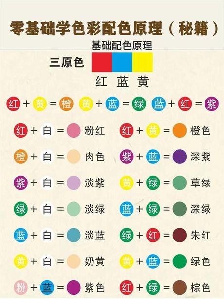 色调：色彩的秘密语言