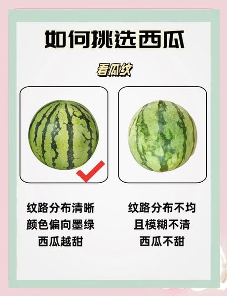 西瓜怎么挑选好吃，西瓜挑选完全指南