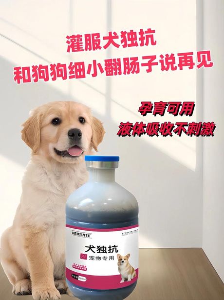 狗翻肠子怎么办?