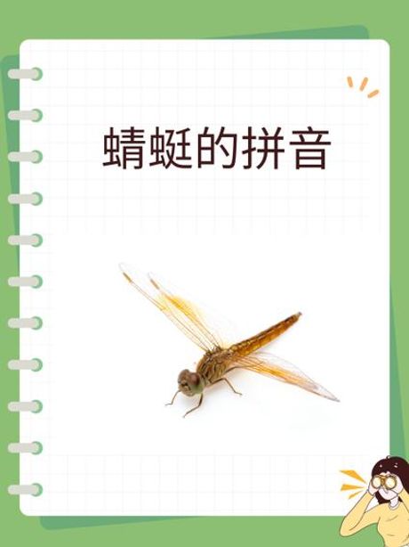 蜻蜓的拼音怎么写